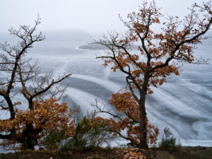 Europa, Deutschland, Hessen, Waldeck, Nationalpark Kellerwald-Edersee, Rotbuchen an der Stollmühle, Winterstimmung mit Eis und Schnee, Eisstrukturen Europa, Deutschland, Hessen, Waldeck, Nationalpark Kellerwald-Edersee, Rotbuchen an der Stollmühle, Winterstimmung mit Eis und Schnee, Eisstrukturen